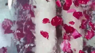 吸血女王蜂老板的宝贝宠物3，分享高清完整版3