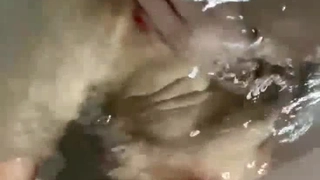 形势逆转了！超级活塞！大高潮！春潮喷涌！不知不觉间，我已经变成了一个享受被射精的淫荡女性……有原步美